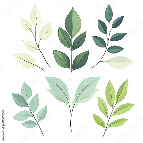 Green leaves showing different hues and shapes creating a beautiful pattern