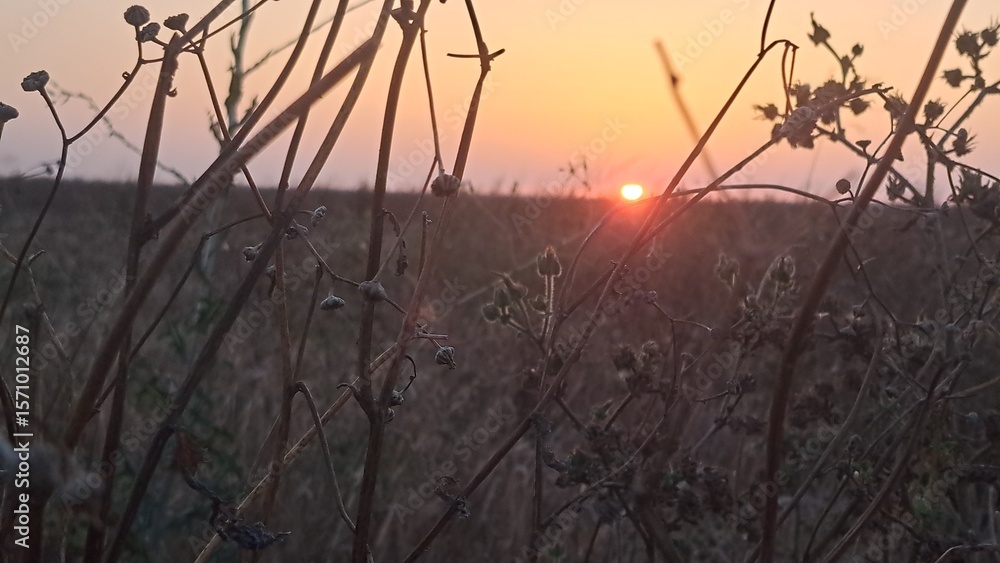 Fototapeta premium atardecer