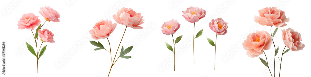 Obraz premium Delicate Pink Peony Watercolor Flowers Isolated on White