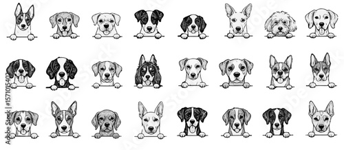 Black and white drawing showcases diverse dog breeds gazing over an edge, a whimsical canine illustration for pet lovers, silhouette