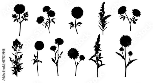 Elegant floral silhouette set with various wildflower and foliage elements for nature inspired designs