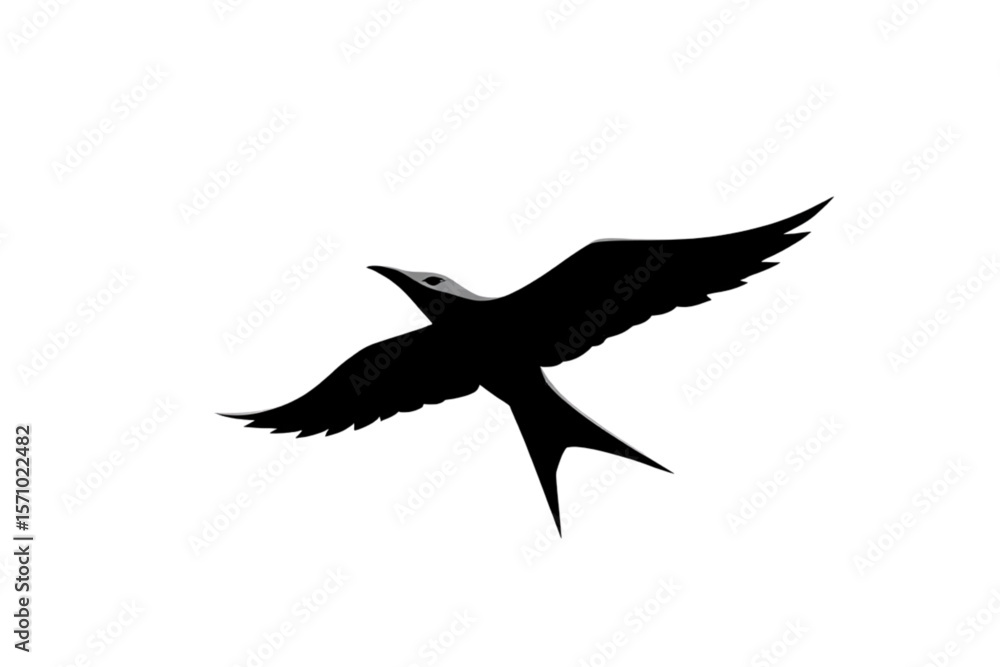 Obraz premium silhouette of a bird