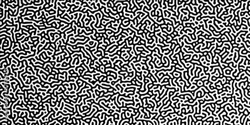 Abstract truing organic wallpaper Turing reaction diffusion monochrome seamless pattern with chaotic motion. Turing reaction diffusion monochrome seamless pattern with chaotic motion.