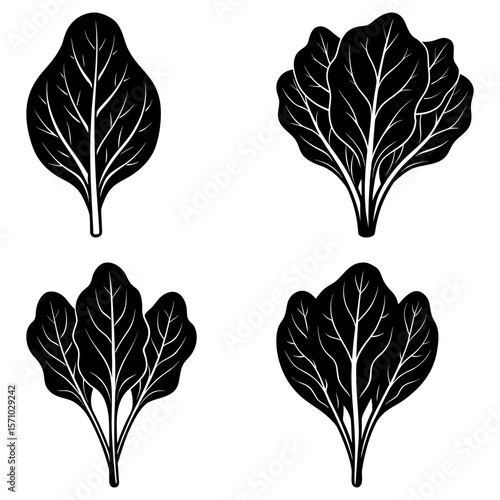 Four stylized black spinach leaves with detailed vein patterns arranged on a white background design element