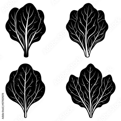 Four stylized black and white spinach plants with detailed leaf veins arranged symmetrically on white