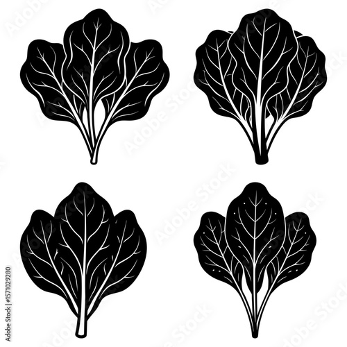 Four stylized black and white spinach plants with detailed leaf veins in a symmetrical arrangement