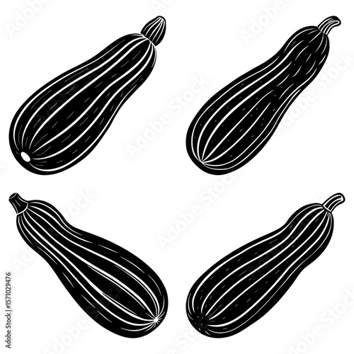 Four zucchini vegetables with striped patterns in a black and white graphic illustration style image