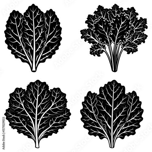 Four black and white vector illustrations of leafy green vegetables with detailed vein structures arranged nicely
