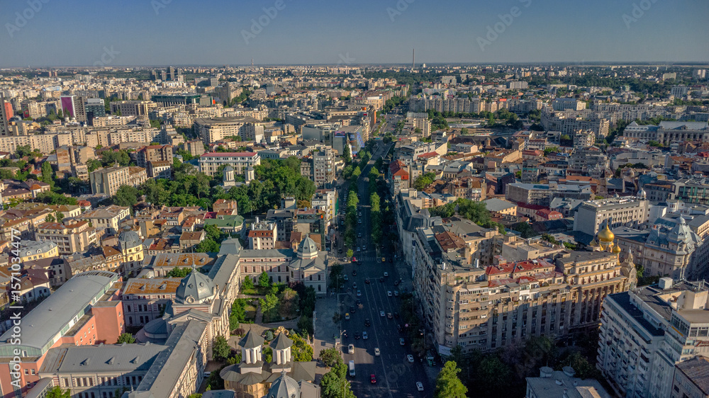 Urban Bucharest with tree-lined avenue and sunset lighting Urban Bucharest with tree-lined avenue and sunset lighting