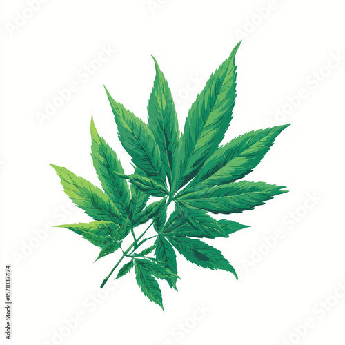weed isolated in White Background, weed vector, Flat lay vector illustration