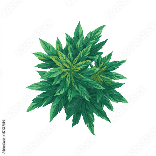 weed isolated in White Background, weed vector, Flat lay vector illustration