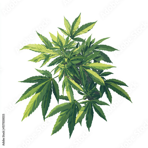 weed isolated in White Background, weed vector, Flat lay vector illustration
