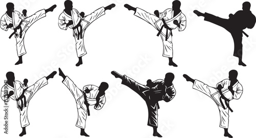 "Sky Kick: Karate Master in Action"