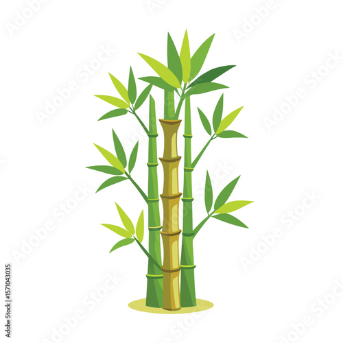 bamboo tree vector art