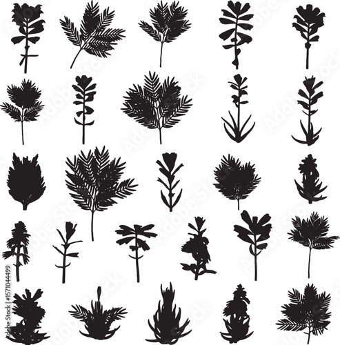 A large, comprehensive assortment of diverse plant and foliage silhouettes, showcasing various leaf shapes and botanical forms, perfect for landscaping, nature designs, and organic decorative elements