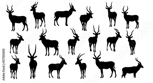Collection of Impala Antelope Silhouettes Poses a unique and striking depiction of wildlife, showcasing the beauty and form of these African ungulates.