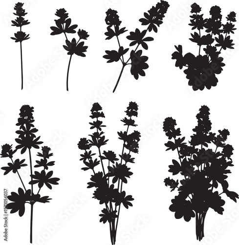 A versatile collection of black silhouette delphinium illustrations, showcasing various flower spikes and detailed foliage, perfect for garden, nature, and botanical designs