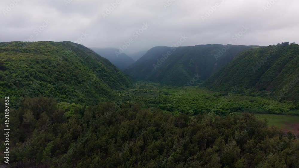 Vibrant tropical forest fills the floor of Pololu Valley, Hawaii, surrounded by steep green cliffs under a cloudy sky. A remote and untouched landscape. Vibrant tropical forest fills the floor of Pololu Valley, Hawaii, surrounded by steep green cliffs under a cloudy sky. A remote and untouched landscape.