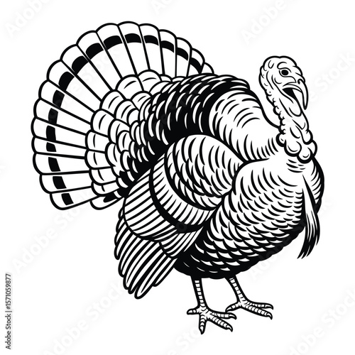 A black and white line drawing of a standing turkey in a traditional woodcut style