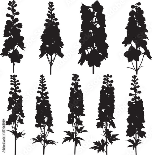 Collection of various black delphinium flower silhouettes, showcasing tall, elegant spires and clustered blooms, ideal for botanical illustrations, garden designs, and floral patterns