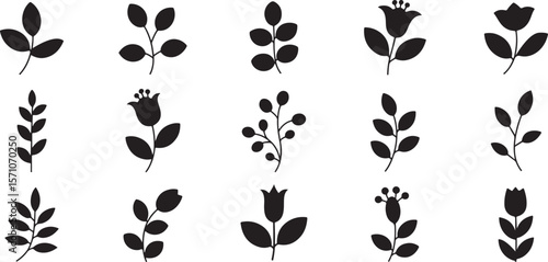 Floral botanical sprigs and flowers leaves