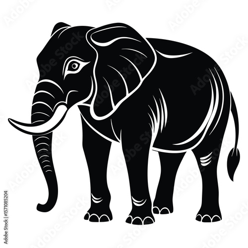 Silhouetted Elephant