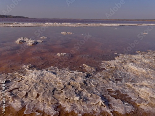 Crystallization of salt on drying natural reservoirs of the South of Ukraine in summer and autumn