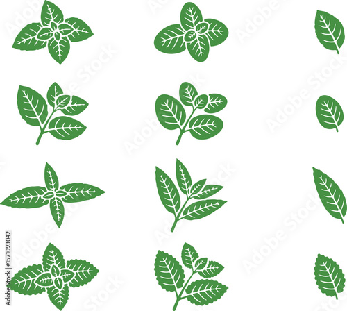  Green Mint and Herbal Leaf Icon Vector Set — mint, leaf, green, herb, nature, icon, vector, plant, outline, fresh