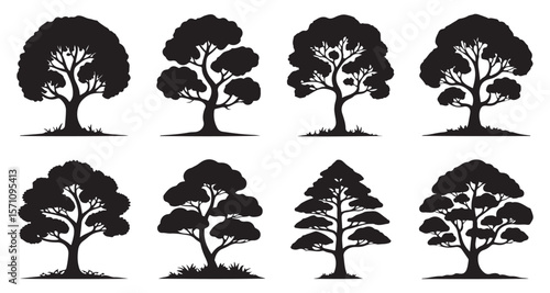 Silhouetted Trees Collection Diverse Forms of Arboreal Shapes Trees with Varying Crown Structures and Branching Patterns Botanical Illustration