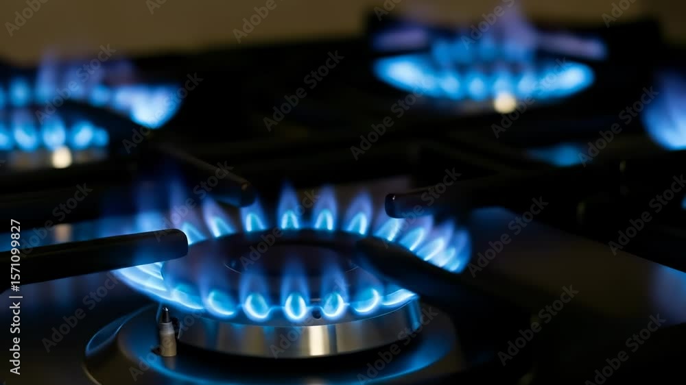 Close-up of bright blue flames burning steadily on a modern gas stove burner. Close-up of bright blue flames burning steadily on a modern gas stove burner.