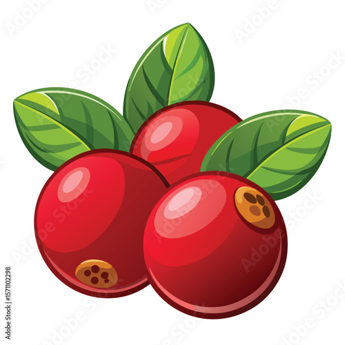 Cranberries with leaves