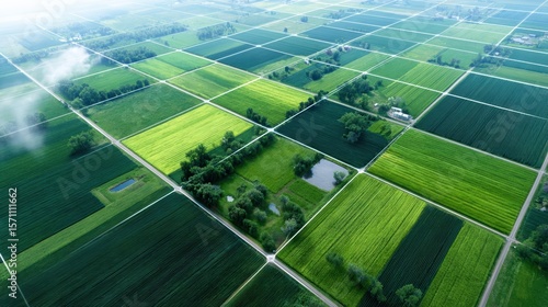 Fototapeta Naklejka Na Ścianę i Meble -  Aerial view of a rural landscape showing a patchwork of green agricultural fields divided by roads, with some trees and water bodies scattered throughout.