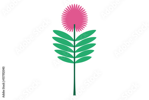 Vector Illustration Of Sensitive Plant Or Mimosa Pudica