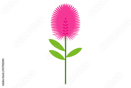 Vector Illustration Of Sensitive Plant Or Mimosa Pudica