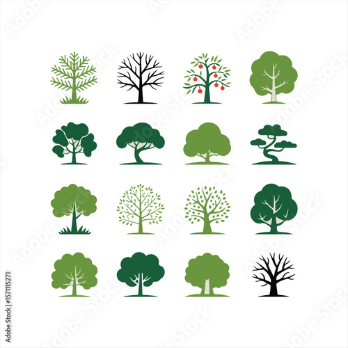 Various tree vectors. Forest and nature concept. Collection of different tree symbols. Education and training poster design. Vector drawn for plant and tree presentation.