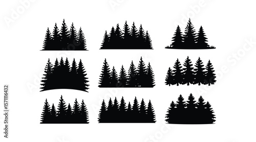 Various tree vectors. Forest and nature concept. Collection of different tree symbols. Education and training poster design. Vector drawn for plant and tree presentation.
