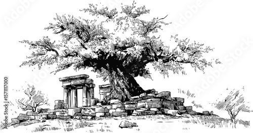 Ancient tree with ruins surrounded by stones in a black and white sketch