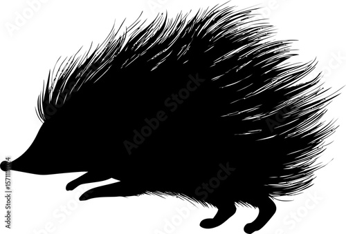 Silhouette of a spiky hedgehog with long quills in motion