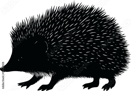 Silhouette of a hedgehog with sharp spines in black and white illustration