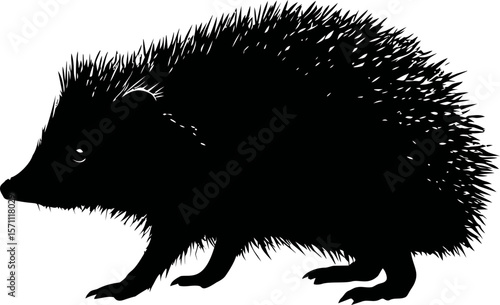 Silhouette of a hedgehog with detailed spines