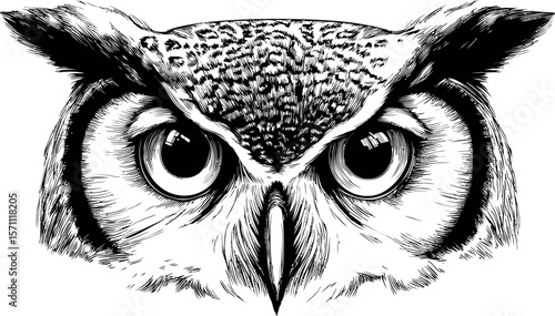 Detailed black and white owl face illustration with intense gaze, concept art