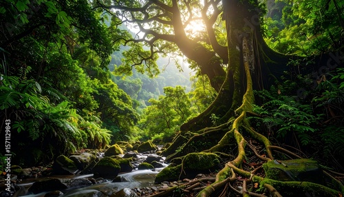 Flowing Stream Through Lush Green Forest with Large Tree Roots