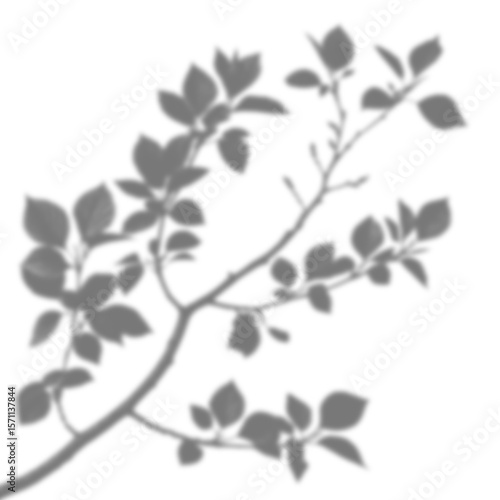 Realistic branch leaf shadow overlay on transparent background, tropical foliage mockup for sunlight effect, natural plant silhouette for product presentation, summer vibe backdrop PNG
