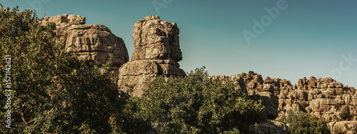 Rock formation between trees. National park El Torcal de Antequera. Andalucia. Spain.