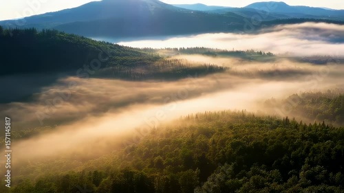 Wallpaper Mural Breathtaking aerial footage of misty mountains and lush green forests at dawn Torontodigital.ca