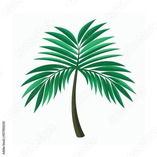 palm tree leaf vector art