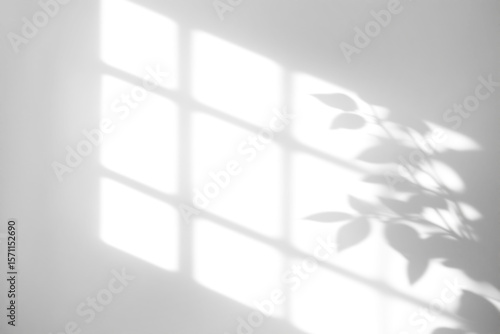 shadow overlay effects of realistic window and tree branch shadow with light blur on transparent background,Summer sunlight and dappled shadow overlay effect