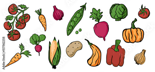 Hand-drawn Colorful Farm Vegetables Collection with Vintage Ink Style Vector Illustration