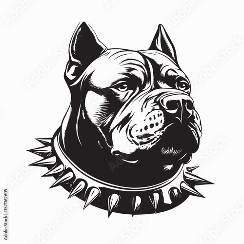 Bulldog With Spiked Collar Image vector on white background.