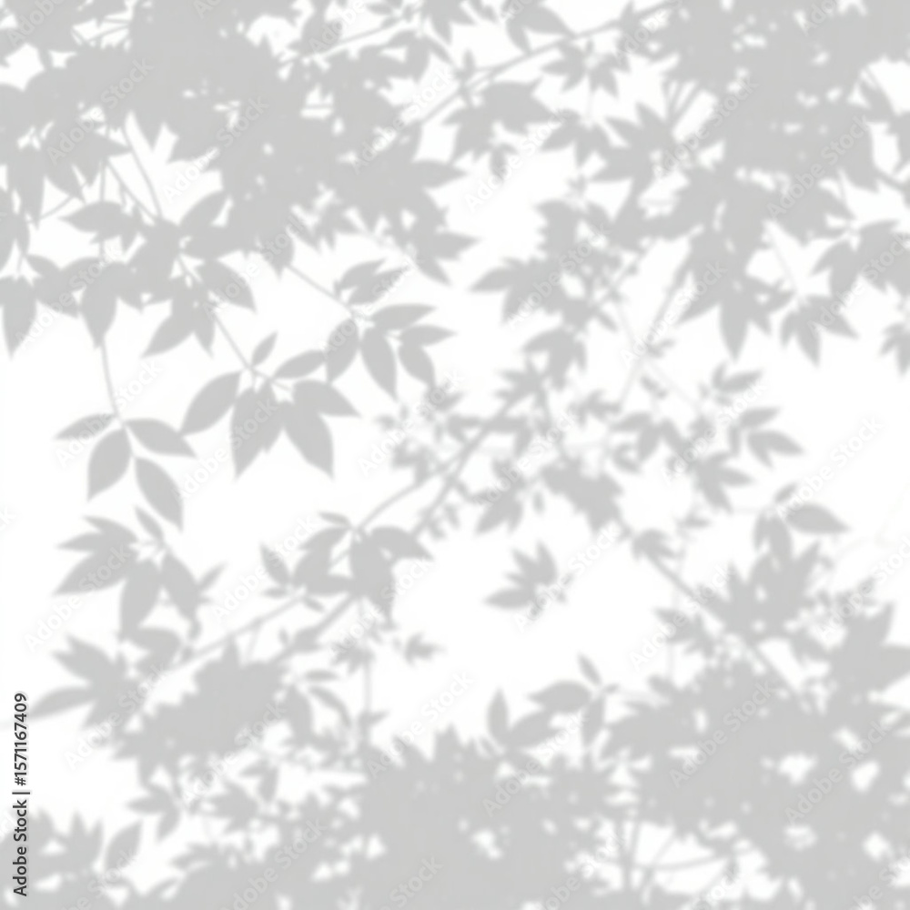 shadow overlay effect. Gray shadow of leaves isolated on white background. Plant foliage leaf shadow light effect. Mockup Blurred tree branch shadow. Ideal for summer spring design elements PNG shadow overlay effect. Gray shadow of leaves isolated on white background. Plant foliage leaf shadow light effect. Mockup Blurred tree branch shadow. Ideal for summer spring design elements PNG